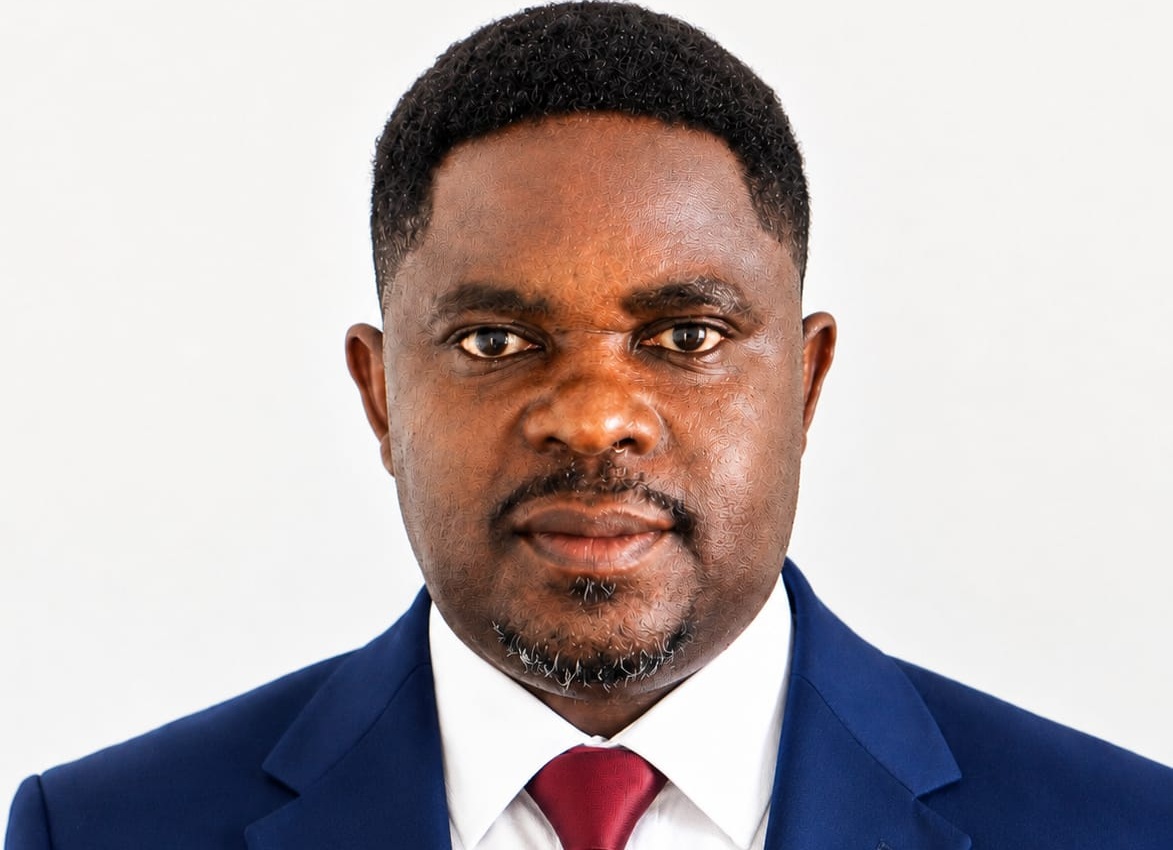 Focus on governance, not intimidation — NPP Germany tells NDC government