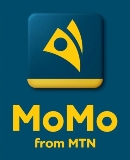 MoMo Fintech Ltd introduces 0.75% charges on MoMo-to-bank transfers from June 1