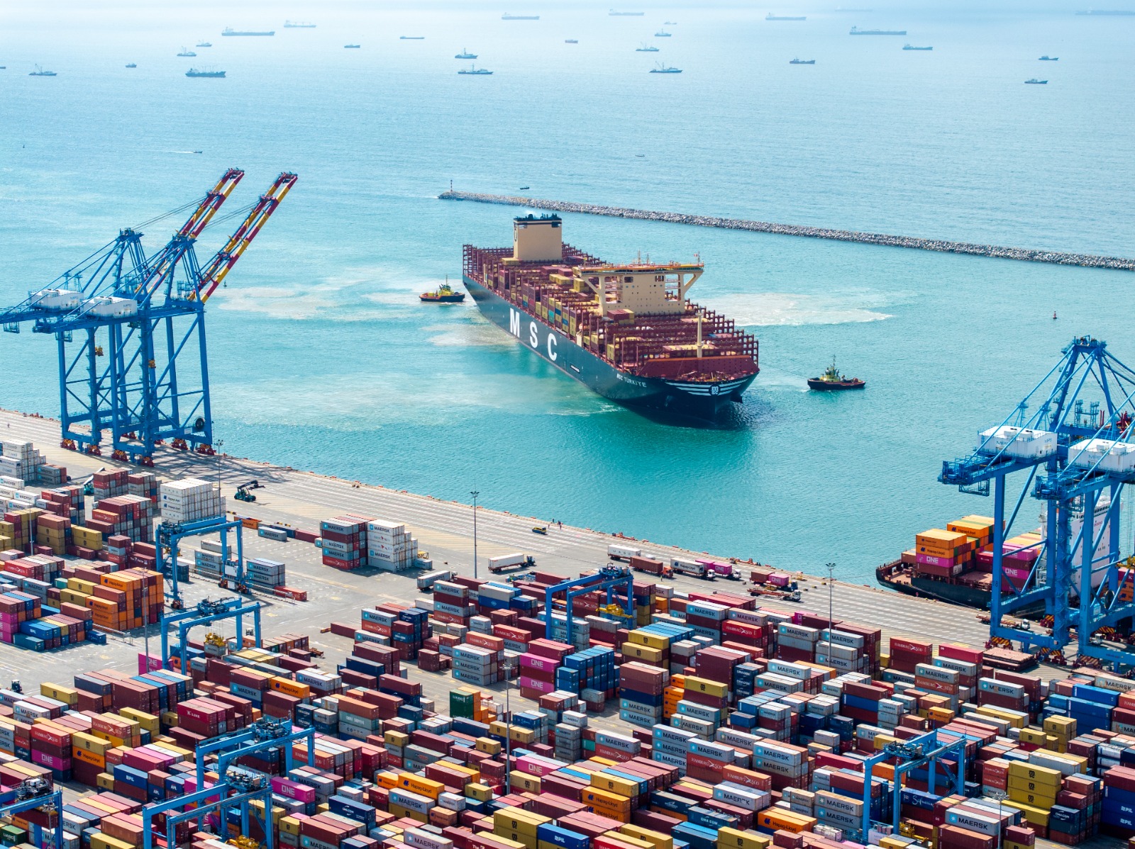 Port cost reforms necessary, but must reflect collective interests
