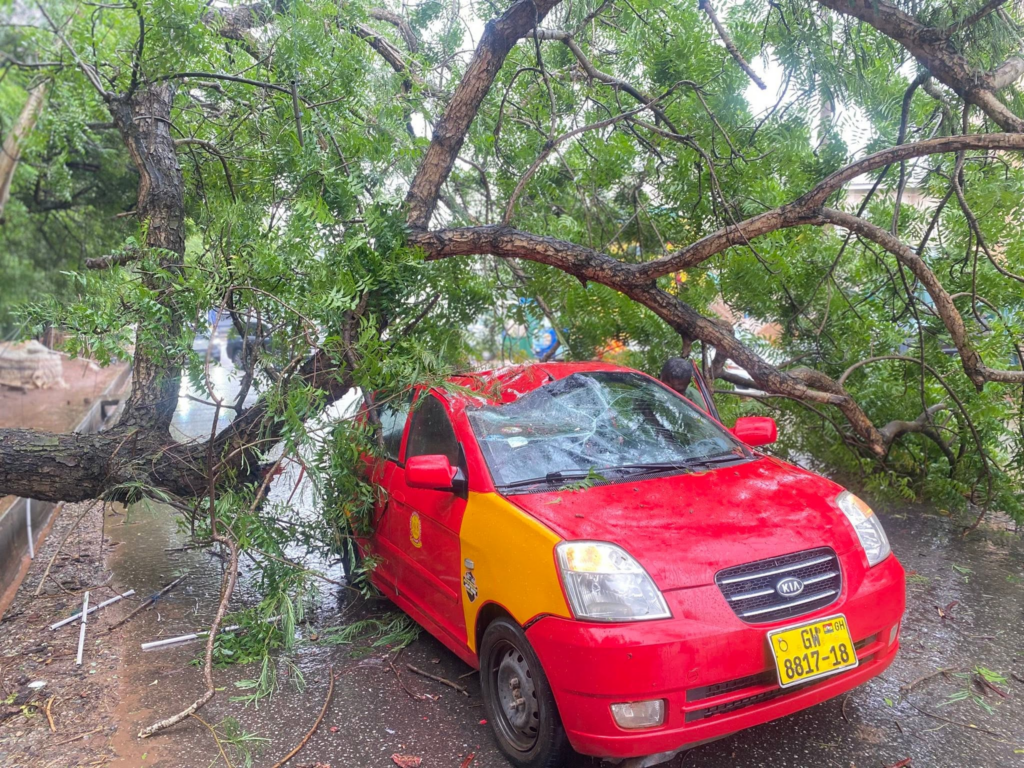 Driver, passenger escape unhurt after tree falls on taxi at Golf Hills