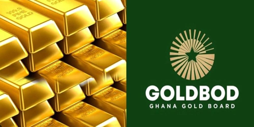 Resource Governance Group warns against potential financial risks at GoldBod