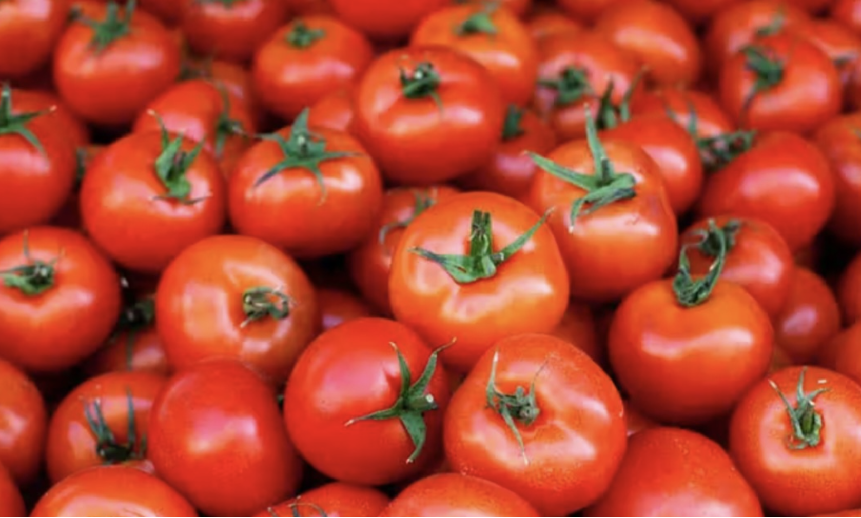 Tomato traders call for farmer training to boost local production