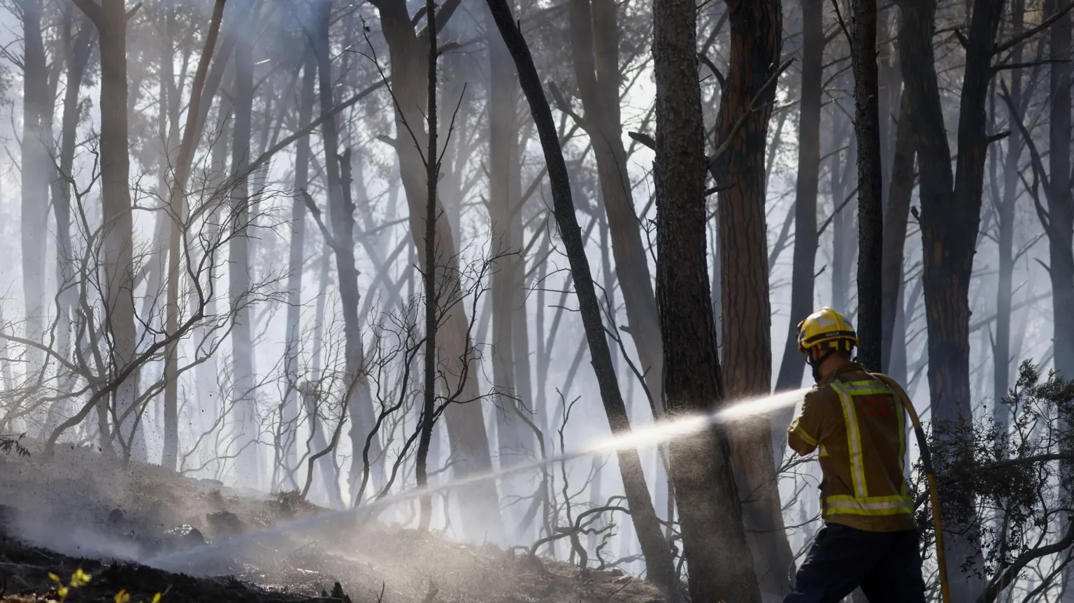 12 die in wildfire in Spain as heatwave continues in southern Europe