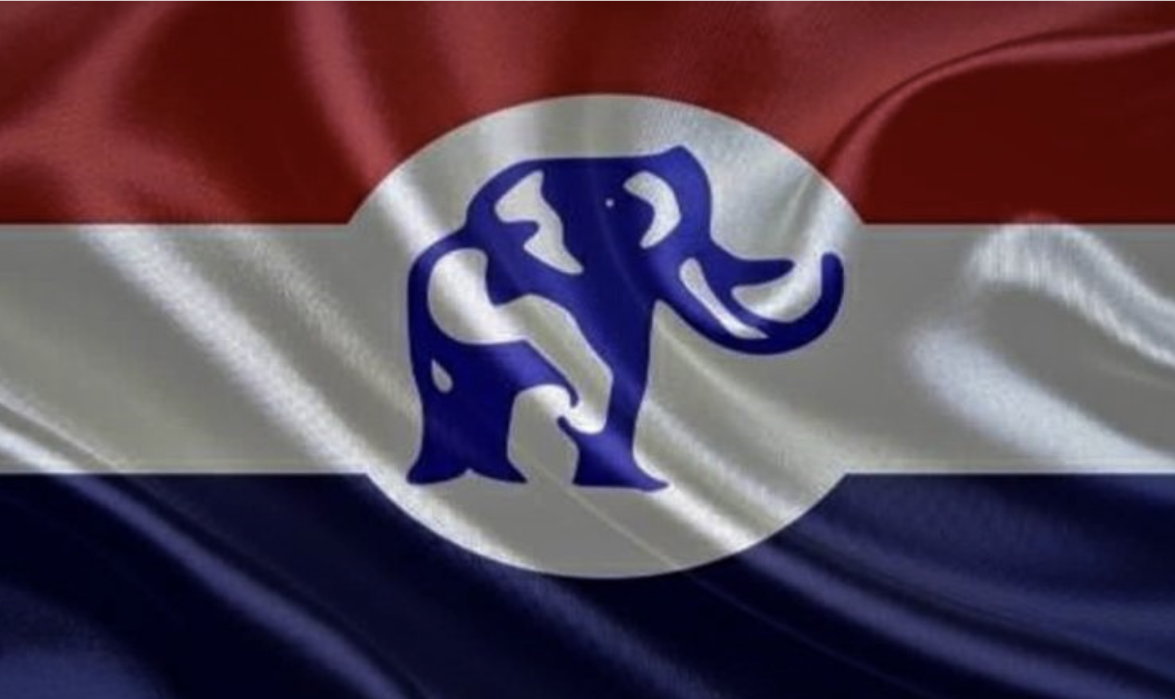 Ashanti NPP elections: 35 aspirants file nominations; vetting set for July 20