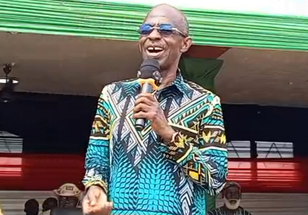 Asiedu Nketia urges Africa to move beyond raw material exports through industrialisation