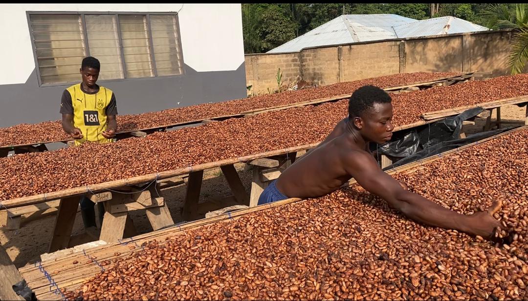 COCOBOD settles GH¢162m outstanding debt owed to non-DDEP Cocoa Bill holders