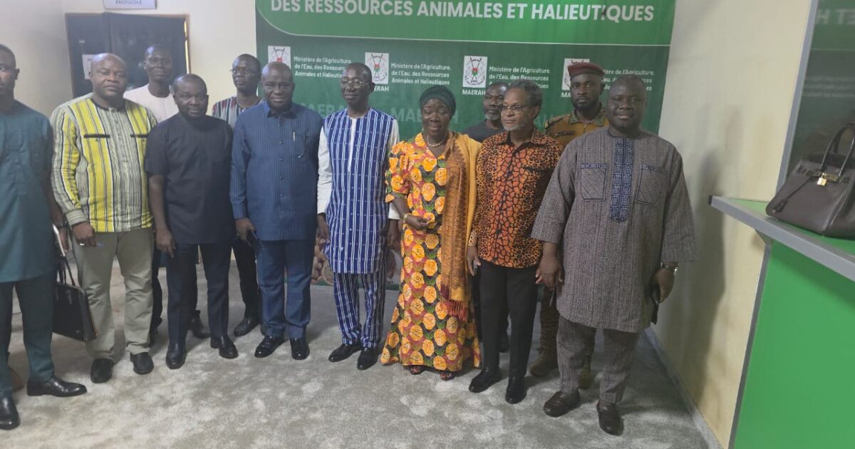 Ghana secures resumption of egg exports to Burkina Faso after bilateral talks