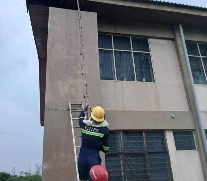 GNFS relocates bee swarm from Vakpo Sec-Tech after attack on student, teacher