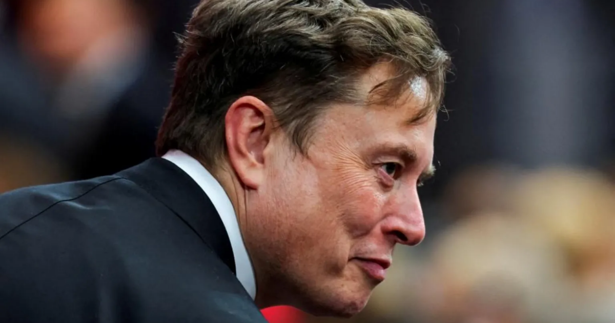 Musk takes ‘crusade’ to Europe with Armie Hammer film