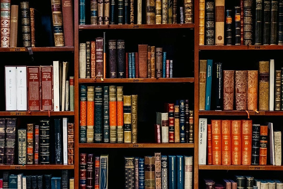 Prof. Kofi Agyekum: Authorship is earned, not owed: Protecting integrity in academic research