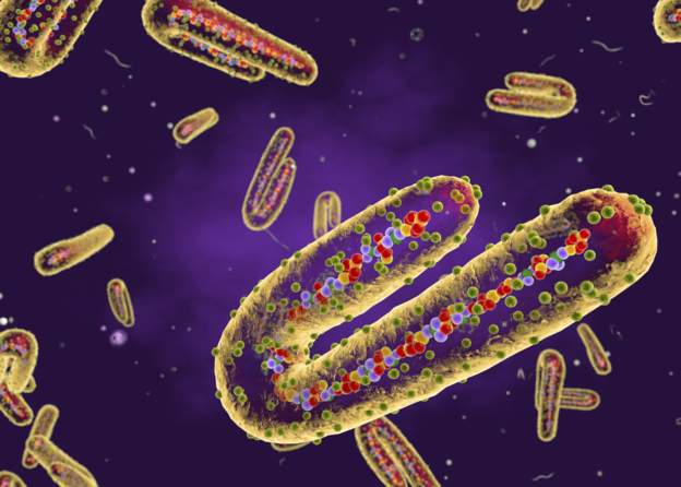 Uganda finds isolated Marburg virus case, Africa CDC says