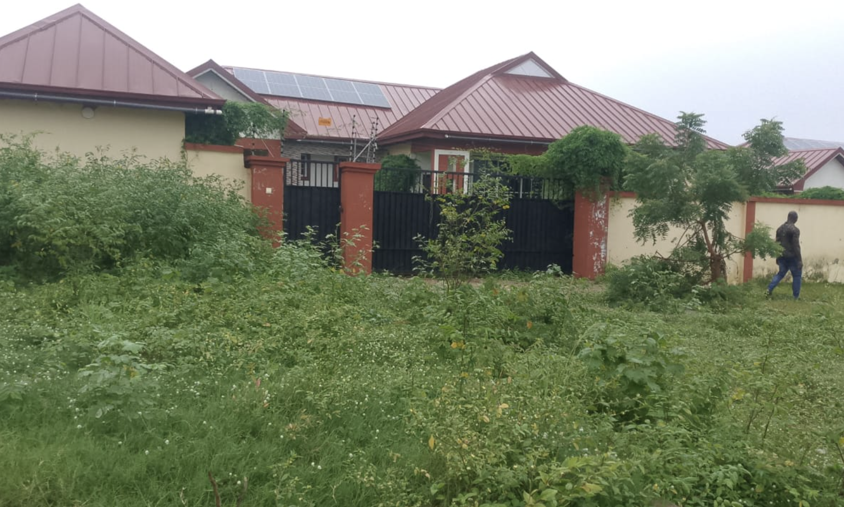 Weeds take over Judicial Service bungalow at Wenchi, key staff rent private accommodation
