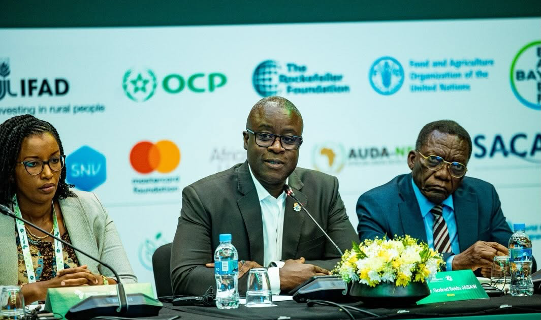 African governments must prioritise investment in food systems – Dr Jasaw