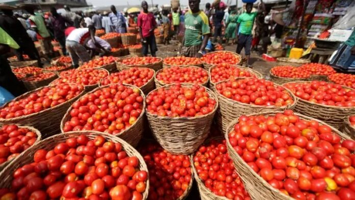 Ghana to launch tomato self-sufficiency initiative in Anloga
